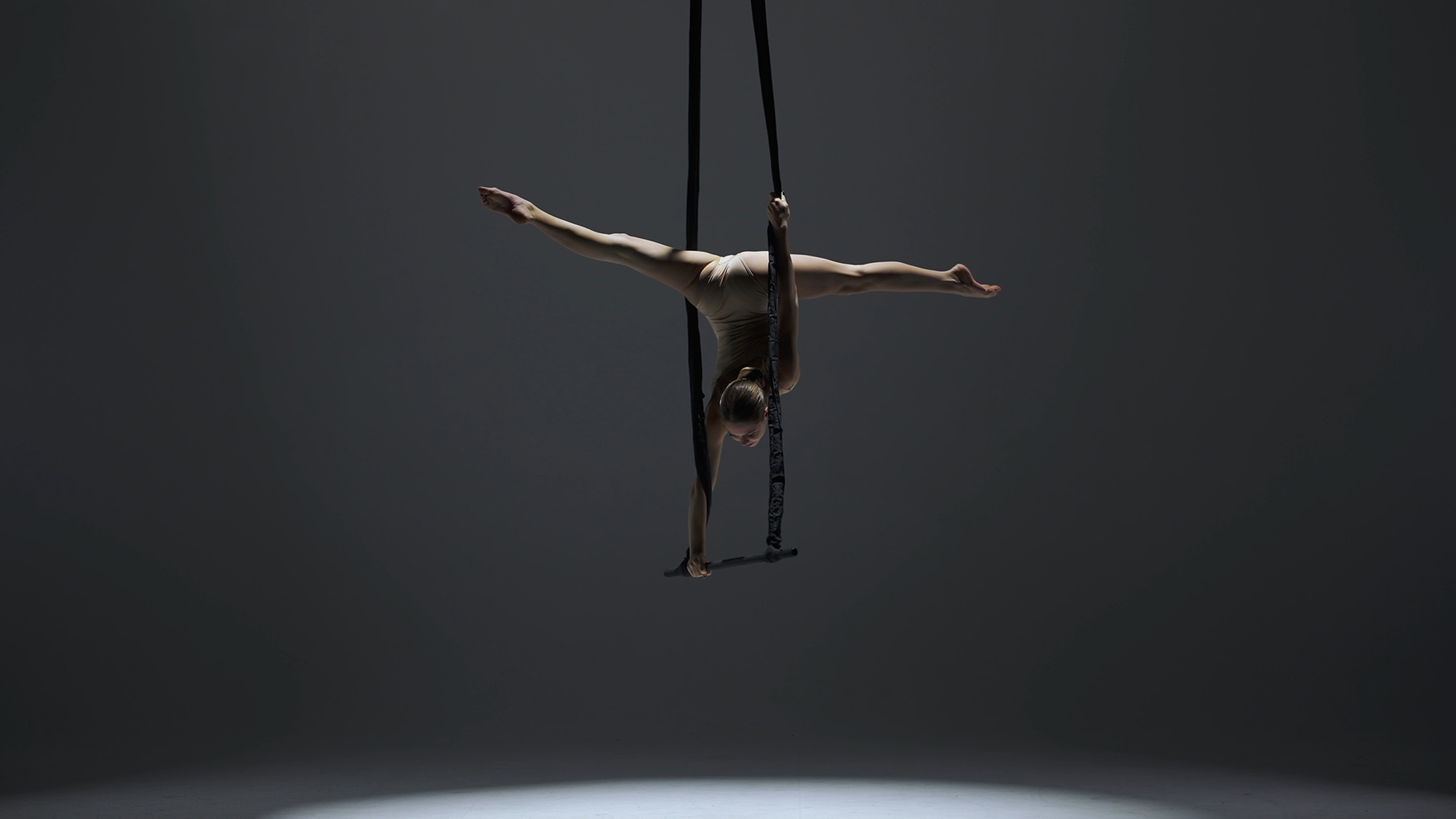 Aerial Gymnast 2424138731